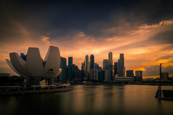 CIS Singapore学生准证办理阶段